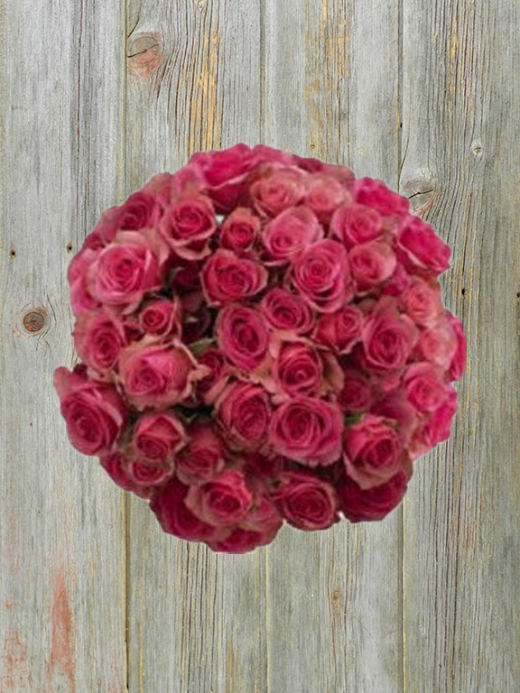 DEEP PINK JEWEL  PINK SPRAY ROSE